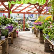  Here are 6 of the best garden centres in Cumbria according to Google Reviews.