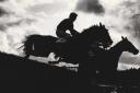 Vanguard and Stay Awake silhouetted in the third race at Cartmel Races in August 1992