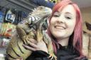 Mandy Christopher of Little Beasties with her green iguana, Mooch