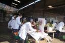Young farmers prepare their floral displays during the field day