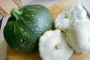 TIME FOR SQUASH: Autumn is here and squashes are appearing