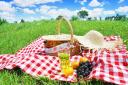 Pick the perfect picnic partner