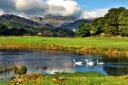 From waterfalls to whooper swans there's plenty to see around Elterwater