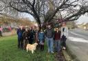 Members of the Save the Heart of Kendal scheme, some of whom had their own properties flooded in 2015, beside one of the threatened trees