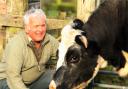 SAD TO SEE HER GO: Farmer Geoffrey Ford with Britain’s oldest cow, 27-year-old Clara who needs a new home
