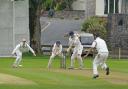 CRICKET: Theo Gallagher (match report and photographs by Richard Edmondson)