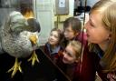 BOOST: Olivia Dobson, Alexander Rockliffe, Lydia Dobson and Alicia Woollard get close up to the dodo model at Kendal Museum.
