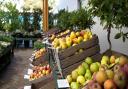 EVENT: Beetham Nursery will host its Apple Weekend in October
