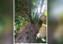 FIRE: Firefighters from Bentham were called to a park fire
