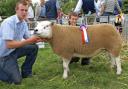 Report: Selside and Grayrigg Show 2011