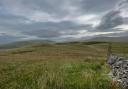Mobile phone mast to be installed in Yorkshire Dales National Park