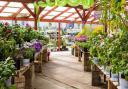  Here are 6 of the best garden centres in Cumbria according to Google Reviews.