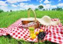 Pick the perfect picnic partner