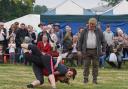 Women Cumberland and Westmorland wrestlers in action at a traditional show in the county