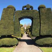 TOPIARY: Levens Hall is home to the world's oldest topiary garden