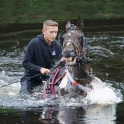 DRENCHED: A horse is washed in the River Eden. Picture: Owen Humphreys/PA Wire