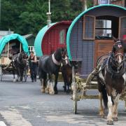 A convoy of horse drawn wagons arrive in Appleby, Cumbria - Owen Humphreys/PA Wire