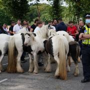 Horses in the road in Appleby, Cumbria, during the annual gathering of travellers for the Appleby Horse Fair. Picture date: Thursday August 12, 2021. PA Photo. Photo credit should read: Owen Humphreys/PA Wire.