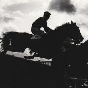 Vanguard and Stay Awake silhouetted in the third race at Cartmel Races in August 1992