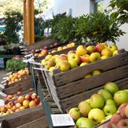 EVENT: Beetham Nursery will host its Apple Weekend in October