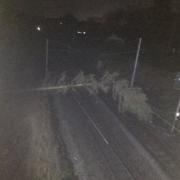 FALLEN: A tree has fallen on tracks between Oxenholme and Penrith  Picture: Network Rail
