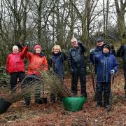 PLANTING: Volunteers ready to start tree planting at Staveley Woodlands Picture: Cumbria Wildlife Trust