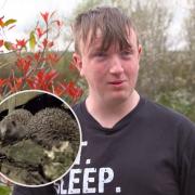TALENTED: Robert has been building hedgehog houses