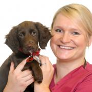 Kentdale Referrals’ head of nursing services Emma Dever has achieved an honours degree in veterinary nursing