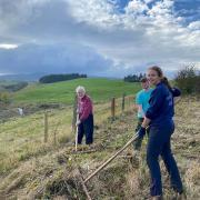 Volunteers help Cumbria Wildlife Trust’s Reserve Manager, Andrew Walter with grassland ride maintenance at Smardale Nature Reserve