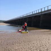 Stuck sheep being rescued by Bay Search and Rescue in Arnside