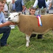 Report: Selside and Grayrigg Show 2011