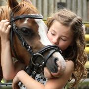 Spending time with ponies could be the perfect way to unwind