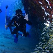The club offers courses that could see you become a pro at diving in the ocean