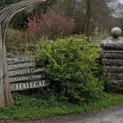 The group is based at Halecat House in Witherslack