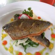 Pan fried Seabass fillet on a radish, fennel and rocket salad with pepper coulis and herb oil