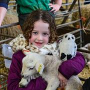 Fun at last year's Countryside Day at Newton Rigg College, near Penrith