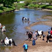 Residents invited to discuss Appleby Horse Fair