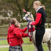 Head of Early Years, Julie Middleton, with Alpasta the alpaca and her pupils