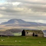 Barns in the Yorkshire Dales
