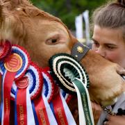 Champion of champions Hannah Brown kisses her limousin in the main arena at Northumberland County Show. County show 2019. Photo: HX2219101. KATE BUCKINGHAM
