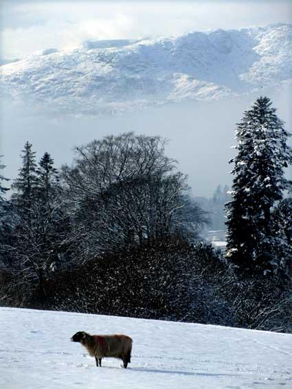 Pictures of snow landscapes from across the Lake District 