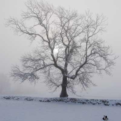 Pictures of snow landscapes from across the Lake District 