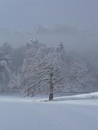 Pictures of snow landscapes from across the Lake District. Ambleside by Angela Wright