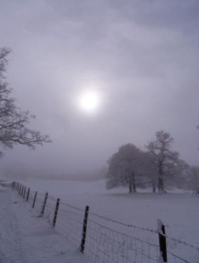 Pictures of snow landscapes from across the Lake District. Ambleside by Angela Wright.
