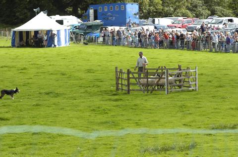 Rydal Show