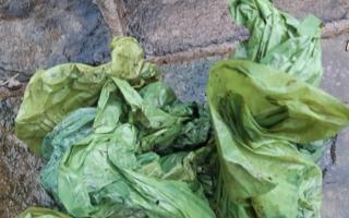 Multiple poo bags have been dumped on a footpath in Beetham