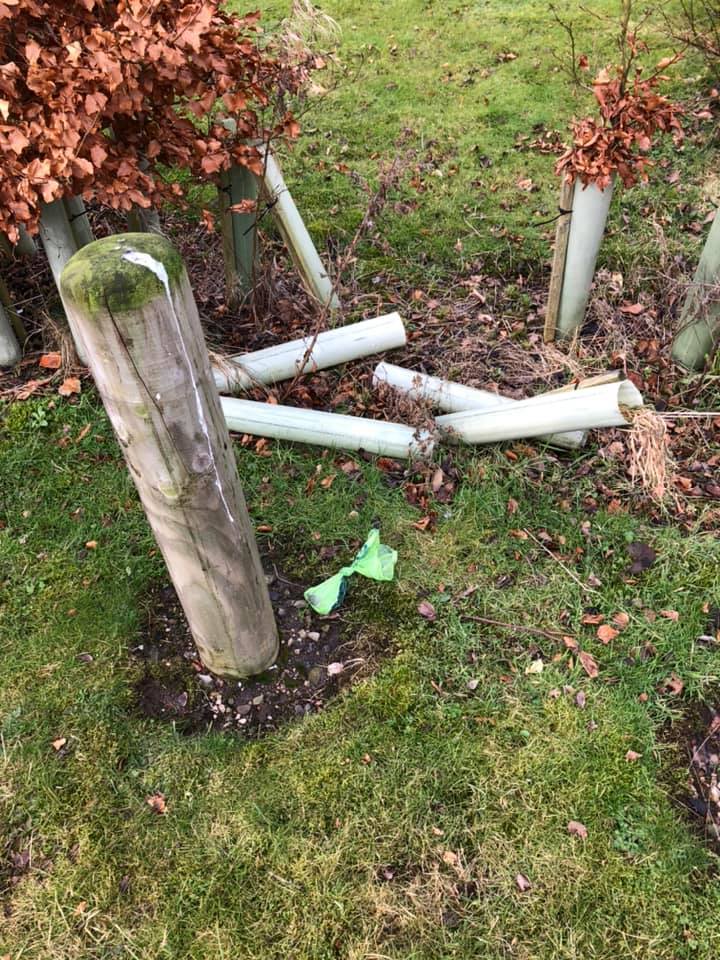 ISSUE: Dog poo bags at GSK memorial gardens. Picture: Anne Nevinson