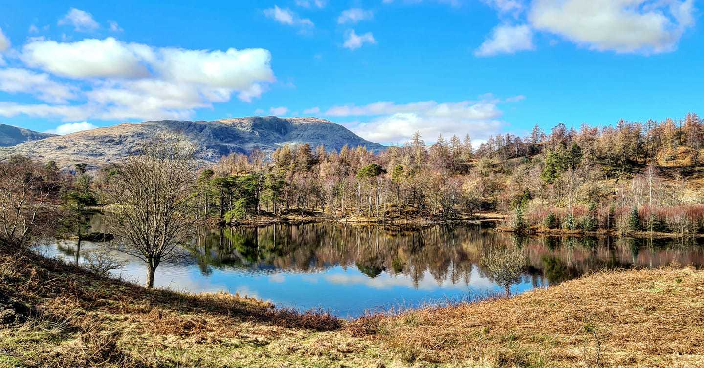 CLEAR: Tarn Hows in Coniston is somewhere to discover away from the crowds Picture: Lucy Millar 