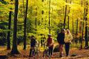 REOPEN: Center Parcs is to reopen all its UK villages in July