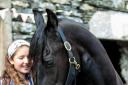 Holly Dobson pampering one of the Friesians